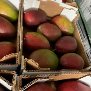 distribuidor-mangos-3.webp