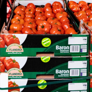 Baron 7kg