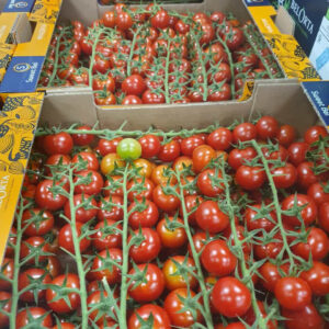 Bellorta Cherry