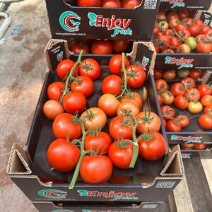 ENJOY1