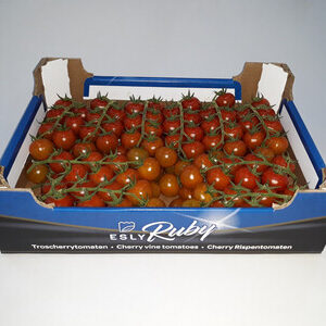 Esly Ruby Cherry