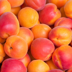 apricot1-nema