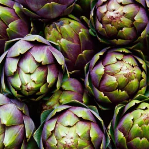 artichoke5-nema