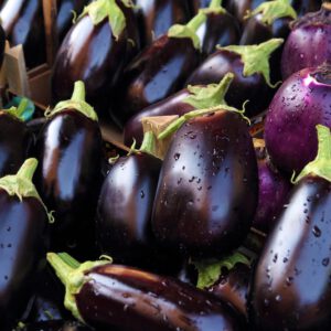 aubergine5-nema