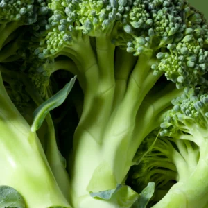 broccoli2-nema