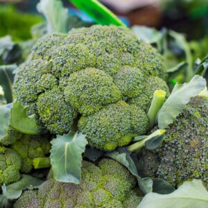 broccoli3-nema