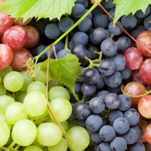 grape5-nema