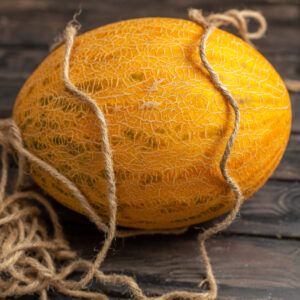 melon3-nema