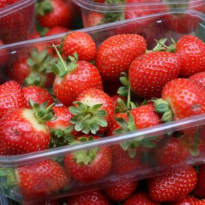 strawberry5-nema